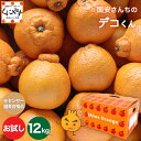 \5日はエントリーでポイント4倍/★糖度14.0以上酸1.4以下 味センサー合格品★ 愛媛みかん 【送料無料】【ギフト】【クール】【産地直送】愛媛西宇和産国安さ...