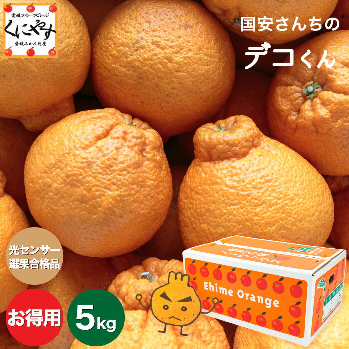 ＼予約開始！2月中旬～下旬発送／糖度13.0以上 酸1.4以下＼創業83年 愛媛みかん の老舗／【送料無料】【ギフト】【産地直送】愛媛西宇和産国安さんちのデコくん お得用5キロ「お得用デコくん5」デコポンは登録商標のためデコくんとして販売 不知火 蜜柑 西宇和みかんのサムネイル