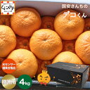 ★糖度14.0以上酸1.4以下 味センサー合格品!★創業85年 愛媛みかん の老舗【送料無料】【ギフト】【クール】【産地直送】愛媛西宇和産国安さんちの デコくん...