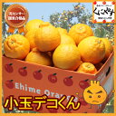 【送料無料】【クール便】合格基準に達するのは約50%〜!安心...