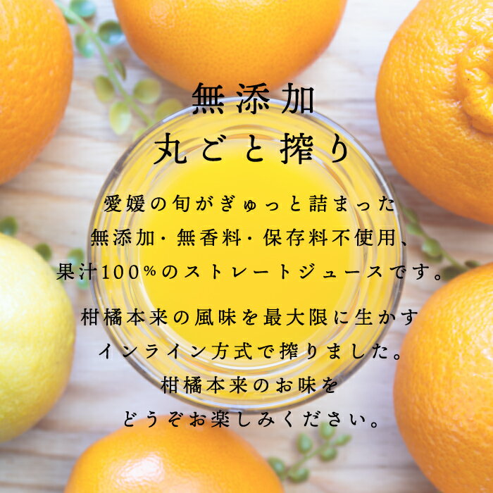 ＼クーポン利用で20％OFF／【送料無料】【ギフト】【産地直送】国安さんちのストレートジュース愛媛柑橘果汁100%ジュース 1リットル12本 (6本×2箱)無料メッセージカード/みかんジュース「選べるジュース1L6×2」みかん/デコ/清見/プレゼント【☆】