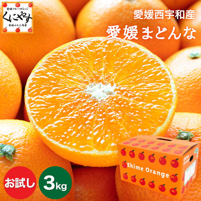 【送料無料】【お歳暮】【ギフト】【産地直送】愛媛まどんな お試し3キロ1～5営業日以内当店発送予定/紅まどんなは登録商標のため愛媛まどんなとして販売「お試し愛媛まどんな3」【☆】