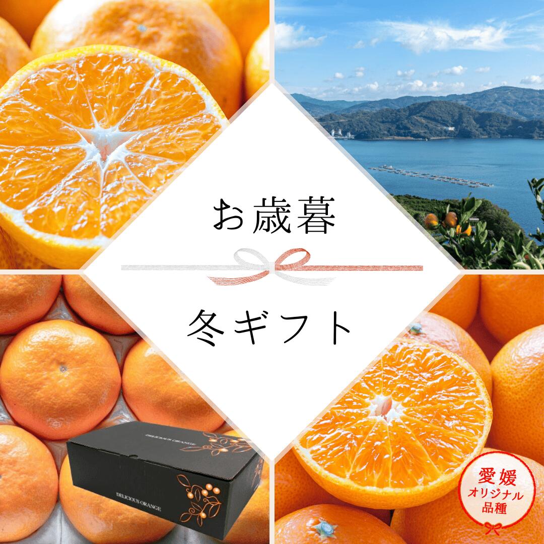 年内お届け！大豊作祭 期間限定 特価！＼最大100％ポイントバック！25日 23:59 まで／★まるでゼリー！ぷるぷる食感★【送料無料】【お歳暮】【ギフト】【産地直送】 愛媛まどんな お試し3キロ 「お試し愛媛まどんな3」 紅まどんな は登録商標のため 愛媛まどんな として販売 3