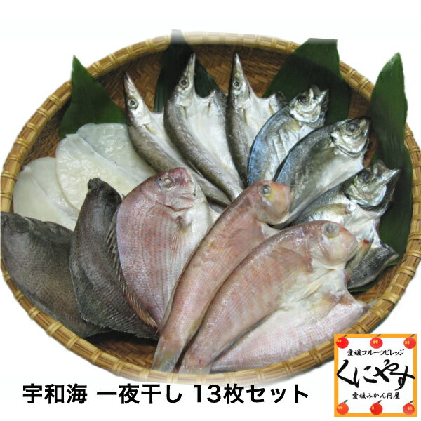 【送料無料】【ギフト】【産地直送】【天然魚】宇和海...