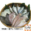 宇和海朝獲れ鮮魚の「一夜干し13枚セット」（真鯛1枚、メイタカレイ2枚、アマダイ2枚、カマス3枚、釣アジ3枚、スミイカ2枚）