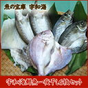【送料無料】【鮮度抜群CAS冷凍品】【天然魚】宇和海朝獲れ鮮...