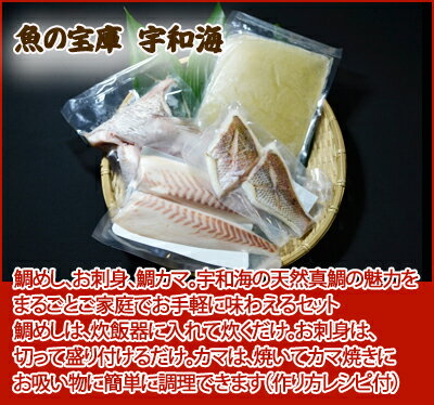 【送料無料】【ギフト】【産地直送】【天然魚】愛媛八幡浜産天然真鯛を食べつくす「鯛めしセットA(4-5人前)」【鮮度抜群CAS冷凍品】宇和海 詰め合わせセット お取り寄せ グルメ 簡単料理 2