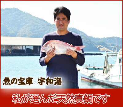 【送料無料】【ギフト】【産地直送】【天然魚】愛媛八幡浜産天然真鯛を食べつくす「鯛めしセットA(4-5人前)」【鮮度抜群CAS冷凍品】宇和海 詰め合わせセット お取り寄せ グルメ 簡単料理 3
