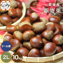 ポイント5倍!\超ポイントバック祭 29日 10:00~/【予約品】9月下旬以降発送予定★秋の味覚 栗の王様!渋皮煮にこちらがオススメ!★【送料無料】【ギフト】【産地直送】【厳選品】愛媛産 銀寄 栗 2Lサイズ 10キロ「銀寄栗2L10」見た目綺麗 贈答OK!国産 生栗 渋皮煮