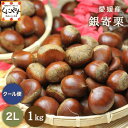 【予約品】9月下旬以降発送予定★秋の味覚 栗の王様!渋皮煮にこちらがオススメ!★【送料無料】【ギフト】【産地直送】【厳選品】愛媛産 銀寄 栗 2Lサイズ 1キロ「銀寄栗2L1」見た目綺麗 贈答OK! 国産 生栗 渋皮煮
