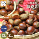 \ポイント4倍!10日 0:00~/★秋の味覚 栗 の王様! 渋皮煮 にこちらがオススメ!★【送料無料】【ギフト】【産地直送】【厳選品】愛媛産 銀寄栗 2Lサイズ 2キロ「銀寄栗2L2」見た目綺麗 贈答OK 国産 生栗 くり 和栗
