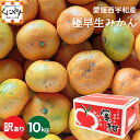 8/10~ご予約受付開始!【予約品】10月中旬~下旬発送★創業85年 親子4代 愛媛みかん 一筋★【送料無料】【産地直送】愛媛西宇和産 訳あり 極早生みかん 10kg「訳あり極早生みかん10」 西宇和みかん 八幡浜みかん 日南みかん
