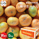 8/10~ご予約受付開始!【予約品】10月中旬~下旬発送★創業85年 親子4代 愛媛みかん 一筋★【送料無料】【産地直送】愛媛西宇和産 訳あり 極早生みかん 5kg 「訳あり極早生みかん5」 西宇和みかん 八幡浜みかん 日南みかん