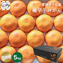 2025年 ご予約開始!【予約品】10月中旬〜下旬発送予定★創業85年 親子4代 愛媛みかん 一筋★【送料無料】【ギフト】【産地直送】愛媛西宇和産 贈答用 極早...