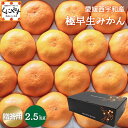 2025年 ご予約開始!【予約品】10月中旬〜下旬発送予定★創業85年 親子4代 愛媛みかん 一筋★【送料無料】【ギフト】【産地直送】愛媛西宇和産 贈答用 極早...