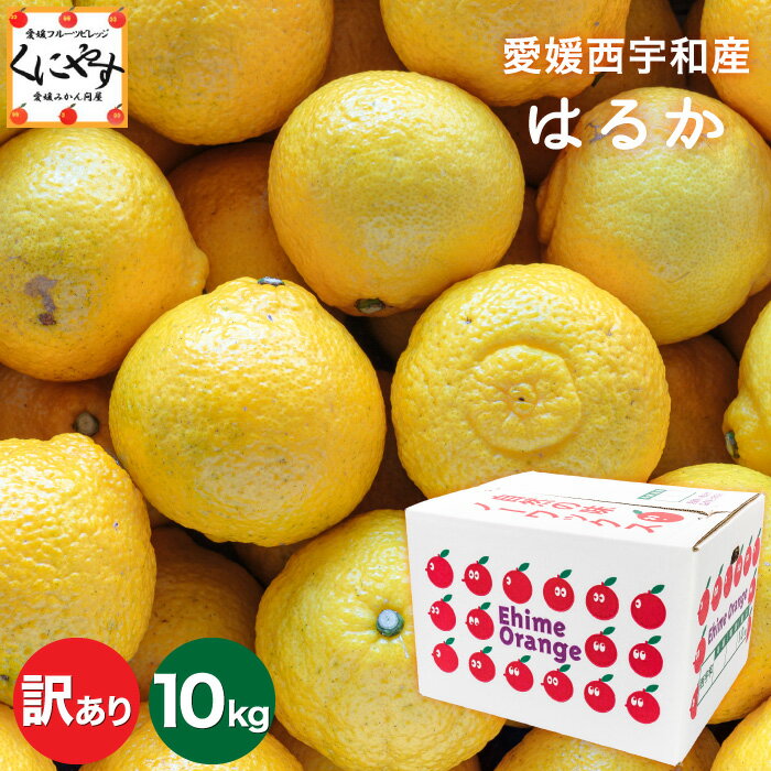 \ポイント10倍! 12/30 0:00〜 予約開始!/★酸味 ゼロ!すっぱいのが苦手な方にオススメ★創業85年 愛媛みかん の老舗【送料無料】【産地直送】愛媛...