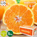 商品画像2