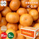 商品画像3