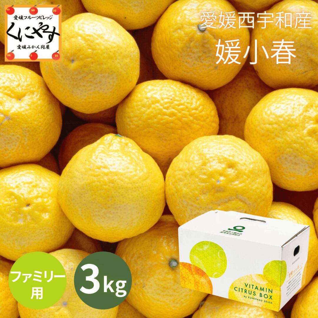 楽天市場】愛媛産 媛小春の通販