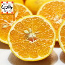 【送料無料】愛媛西宇和産媛の月みかん5kg(5kg×1箱)フ...