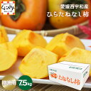 7/10 0:00~ 予約開始★秋の味覚 種なしで食べやすい★【送料無料】【ギフト】【産地直送】愛媛産 ひらたねなし 柿 贈答用 7.5キロ「贈答ひらたね7.5」見た目綺麗 贈答OK 平核無柿 庄内柿 紀の川柿 おけさ柿 種なし