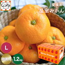 ご予約受付中★温室育ちだから高糖度★創業85年 愛媛みかん の老舗【送料無料】【贈答品】【ギフト】【産地直送】愛媛産 温室みかん Lサイズ 約1.2kg 「贈答...