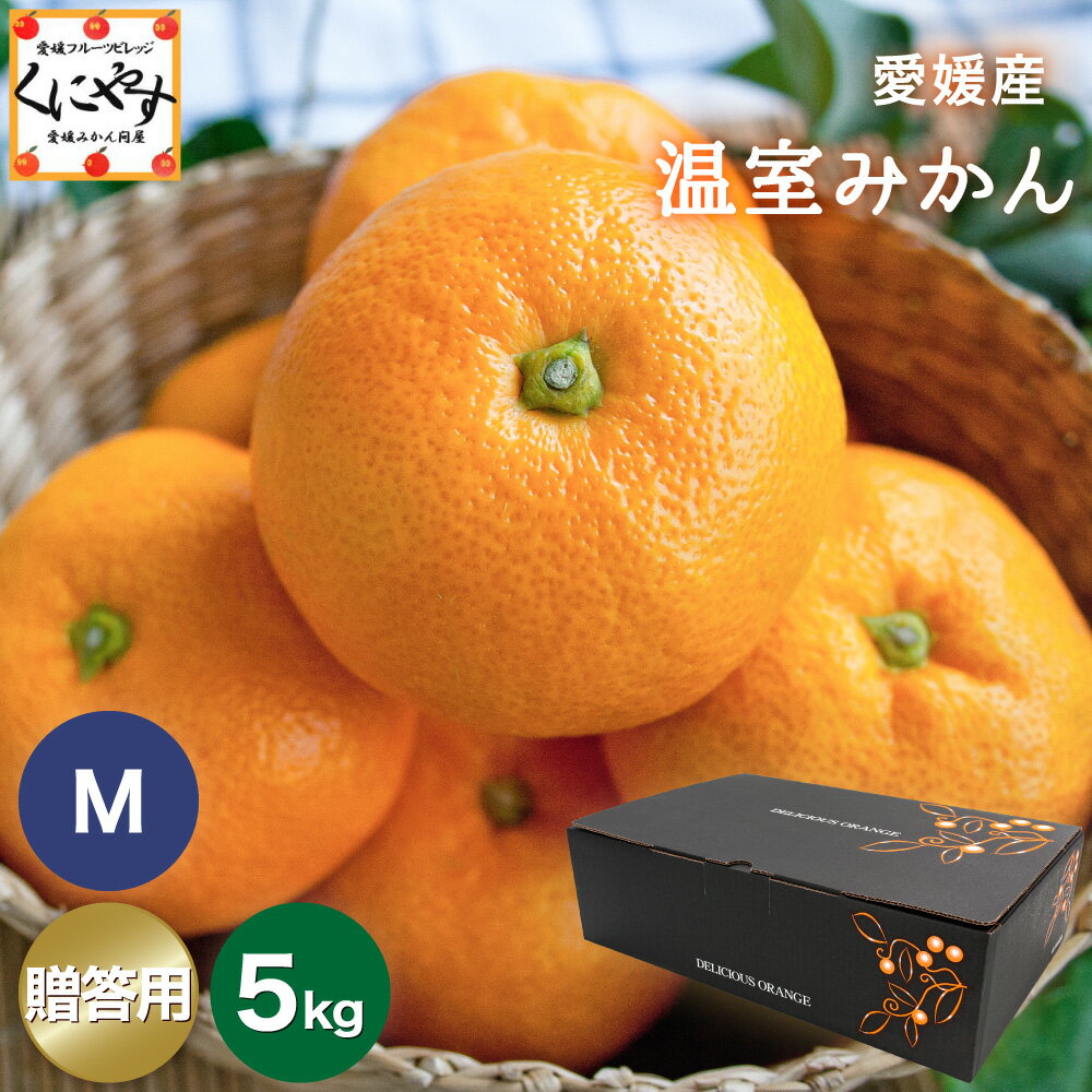 \枚数限定!3,980円以上 5%OFFクーポン/★温室育ちだから高糖度★創業85年 愛媛みかん の老舗【送料無料】【贈答品】【ギフト】【産地直送】愛媛産 温室みかん Mサイズ 約5kg 「贈答温室みかんM5」 ハウスみかん 西宇和みかん 【☆】