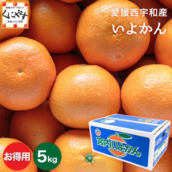 【送料無料】【お得用】愛媛産伊予柑 お得用5kg (L-4Lサイズ)「お得いよかん5」/いよかん/宮内伊予柑/蜜柑/お取り寄せ/グルメ/産地応援