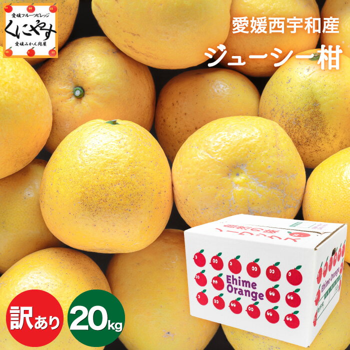 ★さっぱり爽やか！夏のかんきつ★＼創業84年 愛媛みかん の老舗／【送料無料】【産地直送】愛媛西宇和産ジューシー柑 …