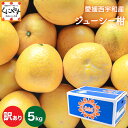 ★さっぱり爽やか！夏のかんきつ★＼創業84年 愛媛みかん の老舗／【送料無料】【産地直送】愛媛西宇和産ジューシー柑 訳あり 5kg「訳ありジューシー柑5」(別名:河内晩柑 和製グレープフルーツ 宇和ゴールド 美生柑 愛南ゴールド ジューシーオレンジ) みかん 文旦 晩柑