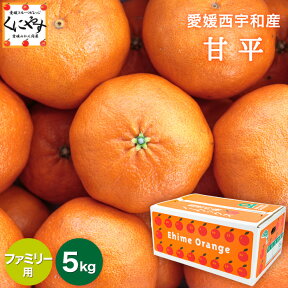 ＼在庫限り 今季終了／★愛媛が誇る 高級みかん★希少品種★＼創業83年 愛媛みかん の老舗／【送料無料】【ギフト】【産地直送】愛媛産 甘平 （かんぺい）ファミリー用5kg「ファミリー甘平5」甘平みかん 西宇和みかん オレンジ