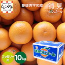 ★食べるジュース！越冬完熟品！★＼創業84年 愛媛みかん の老舗／愛媛西宇和産 清見タンゴール ファミリー用10kg「ファミリー清見10」清見オレンジ デコポン・せとかの母 オレンジ きよみ みかん 西宇和みかん