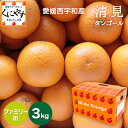 ★まるで食べるジュース!越冬完熟品★創業85年 愛媛みかん の老舗【送料無料】【ギフト】【産地直送】愛媛西宇和産 清見タンゴール ファミリー用 3kg「F清見3...