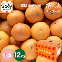 ★食べるジュース！越冬完熟品！＼創業84年 愛媛みかん の老舗／愛媛西宇和産 清見タンゴール 小玉 12kg (3kg×4箱)「小玉清見3×4」清見オレンジ デコポン・せとかの母 きよみオレンジ きよみ みかん 西宇和みかん