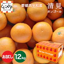 ＼お買い物マラソン 27日 1:59 まで／★食べるジュース！越冬完熟品！★＼創業84年 愛媛みかん の老舗／愛媛西宇和産 清見タンゴール お試し12kg (3kg×4箱)「お試し清見3×4」清見オレンジ デコポン・せとかの母 オレンジ きよみ みかん