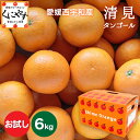 ★まるで食べるジュース!越冬完熟品★創業85年 愛媛みかん の老舗【送料無料】【ギフト】【産地直送】愛媛西宇和産 清見タンゴール お試し6kg (3kg×2箱)...