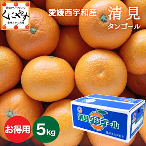 ＼お買い物マラソン 27日 1:59 まで／★食べるジュース！越冬完熟品！★＼創業84年 愛媛みかん の老舗／【送料無料】【ギフト】【産地直送】愛媛西宇和産 清見タンゴール お得用5kg「お得清見5」清見オレンジ デコポン・せとかの母 オレンジ キヨミオレンジ きよみ みかん