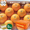 ＼お買い物マラソン 27日 9:59 まで／★食べるジュース！越冬完熟品！★＼創業84年 愛媛みかん の老舗／【送料無料】【ギフト】【産地直送】愛媛西宇和産 清見タンゴール 贈答用5kg「贈答清見5」清見オレンジ デコポン せとかの母 オレンジ きよみ みかん きよみオレンジ