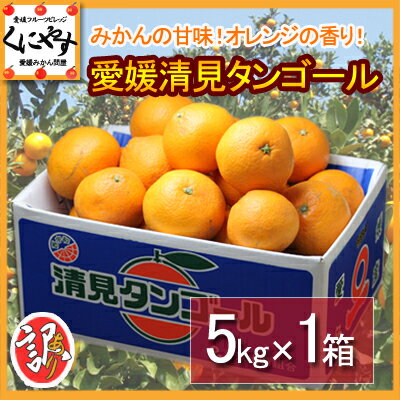 【送料無料】デコポン・せとかの母！訳あり愛媛清見タンゴール5キロ大きさ不揃い,数お任せ種がなくパクパク食べ易い冷やして食べると美味しい