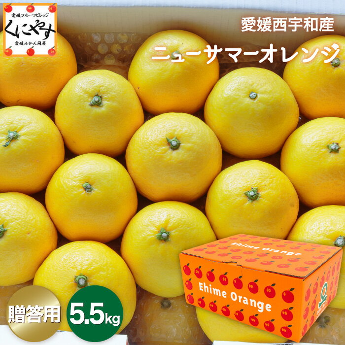 ★独特の甘酸っぱさが特徴★＼創業84年 愛媛みかん の老舗／【送料無料】【産地直送】【ギフト】愛媛西宇和産 ニューサ…