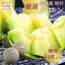 新発売!★厳選!糖度14度以上!光センサー選別★【送料無料】【ギフト】茨城県 旭村産 品種おまかせ 青肉メロン 秀品 2L〜Lサイズ JA旭村(品種: アンデス...