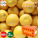 ★こだわり農家さん限定！ブランド柑橘★愛媛西宇和産 ナダオレンジ お試し 2kg(別名：河内晩柑 和製グレープフルーツ 宇和ゴールド 美生柑 愛南ゴールド ジューシーオレンジ)「お試しナダオレンジ2」みかん 西宇和みかん 八幡浜みかん