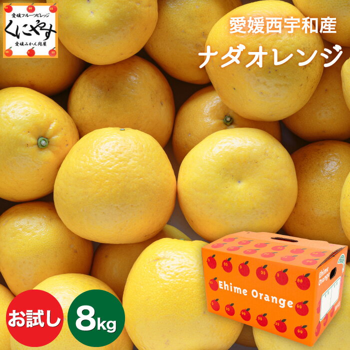 ★こだわり農家さん限定！ブランド柑橘★＼創業84年 愛媛みかん の老舗／【送料無料】【ギフト】【産地直送】愛媛西宇…