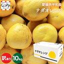 ★こだわり農家さん限定ブランド★創業85年 愛媛みかん の老舗【送料無料】【産地直送】愛媛西宇和産 ナダオレンジ 訳あり 10kg (5kg×2箱) 「訳ありナ...
