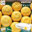 ★こだわり農家さん限定！ブランド柑橘★愛媛佐田岬産 ナダオレンジ 贈答用 5kg（別名：河内晩柑 和製グレープフルーツ 宇和ゴールド 美生柑 愛南ゴールド ジューシーオレンジ）「贈答ナダオレンジ5」みかん オレンジ 文旦 晩柑