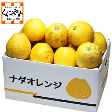 値下決行！【送料無料】【最上級こだわり品】訳あり愛媛ナダオレンジ10kg(5kg×2箱)皮むき簡単食べ易い冷やして食べるとひんやりジューシー(別名：河内晩柑,宇和ゴールド,ジューシーオレンジ,美生柑,愛南ゴールド)「訳あり最上ナダオレ5×2」