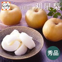\ポイント2倍!イーグルス勝利 23:59 まで/新発売!【予約品】8月上旬発送予定★生産量の少ない希少品★【送料無料】【産地直送】【ギフト】山形産 刈屋梨 約3kg「刈屋梨 秀品 約3kg」山形県産 梨 なし 和梨 豊水 幸水