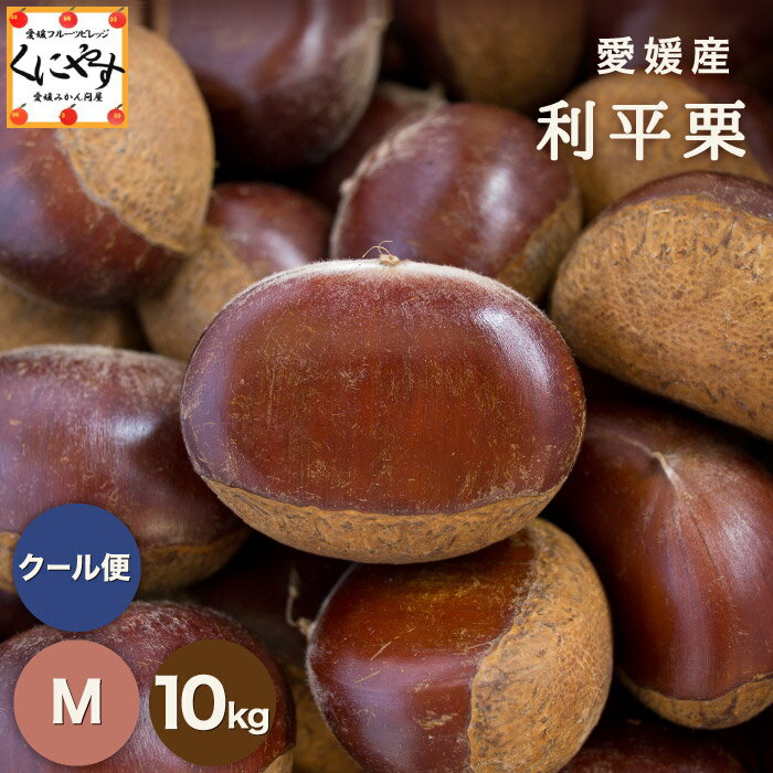 数量限定★最高峰の幻の栗 深い香りと濃厚な甘み★【送料無料】【ギフト】【産地直送】【厳選品】愛媛産 利平 栗 Mサイズ 10キロ「利平栗M10」希少な逸品！見た目綺麗 贈答OK 国産 くり 生栗 渋皮煮 和栗のサムネイル