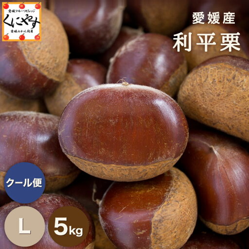 7/20〜ご予約受付開始★最高峰の幻の栗 深い香りと濃厚な甘み★【送料無料】【ギフト】【産地直送】【厳選品】愛媛産 利平 栗 Lサイズ 5キロ「利平栗L5」希少な逸品!見た目綺麗 贈答OK!国産 栗 生栗 渋皮煮 くり 和栗 7/20〜ご予約受付開始★最高峰の幻の栗 深い香りと濃厚な甘み★【送料無料】【ギフト】【産地直送】【厳選品】愛媛産 利平 栗 Lサイズ 5キロ「利平栗L5」希少な逸品!見た目綺麗 贈答OK!国産 栗 生栗 渋皮煮 くり 和栗