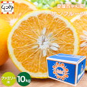★すっきり爽やか 夏みかん ★創業85年 愛媛みかん の老舗【送料無料】【産地直送】【ギフト】愛媛西宇和産 サンフルーツ (新甘夏) ファミリー用10kg「ファ...